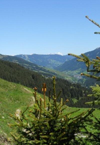 Höhenweg 4