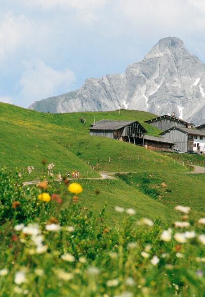 Walsersiedlung Bürstegg bei Lech