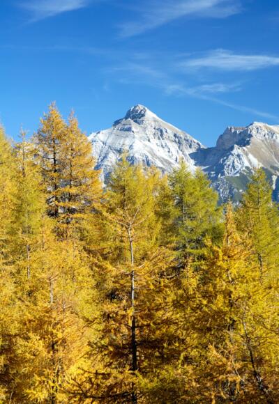 Herbststimmung im Stubaital