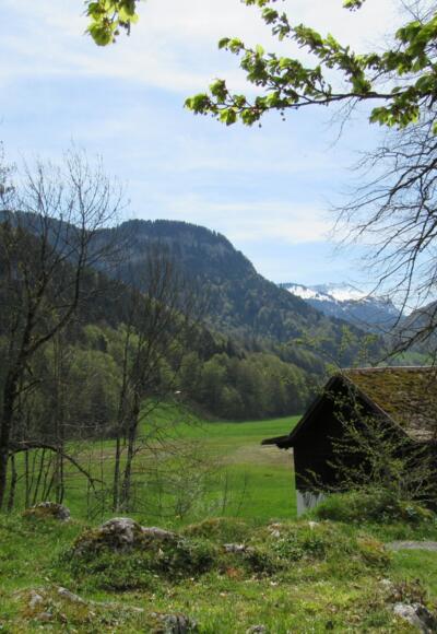 Aussicht Richtung Grebauer Moos