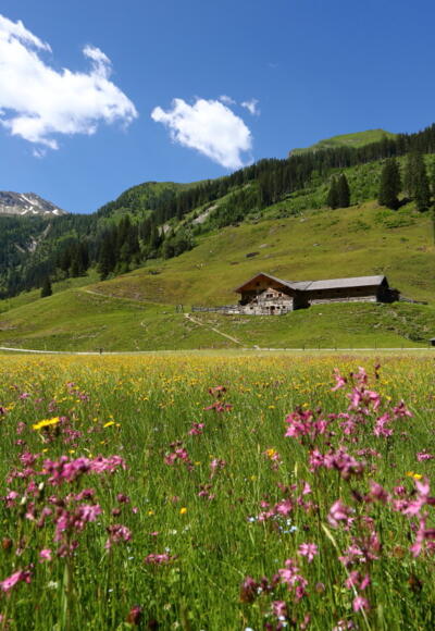 Hub-Grundalm in Hüttschlag