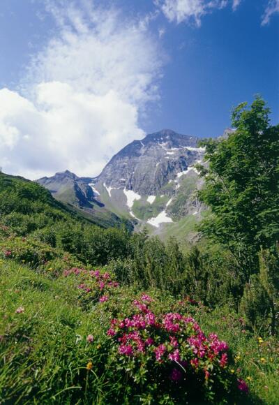 Blick Richtung Habicht