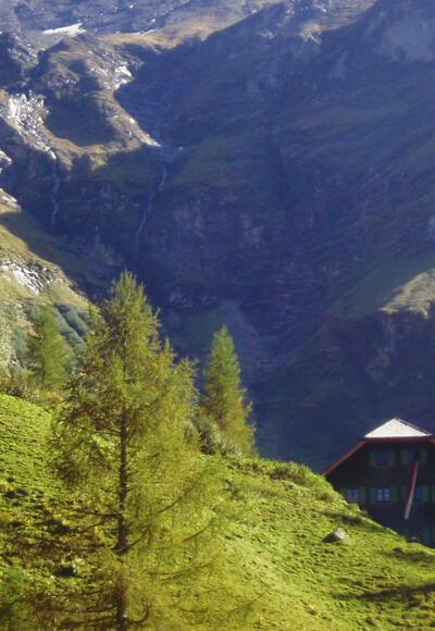 Trauneralm vom Wanderweg