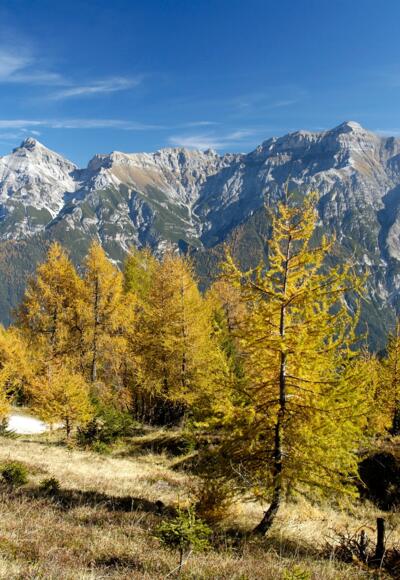 Blick auf Kesselspitze