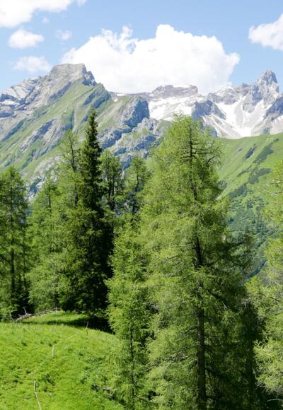 Blick vom Höhenweg Saxer Alpe - Alperschonertal zur Vorderseespitze (links) und Holzgauer Wetterspitze
