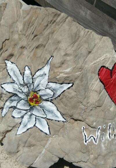 Willkommen auf dem Kaiserjochhaus