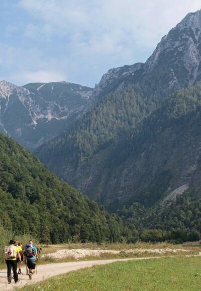 Dem Forstweg entlang in die Hopfing, rechts davon Gelände des Truppenübungsplatzes