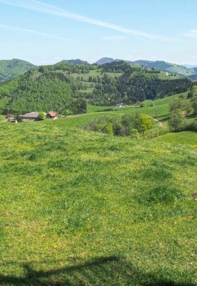 Vom Sturzberg nach osten über die vor uns liegenden Hügel