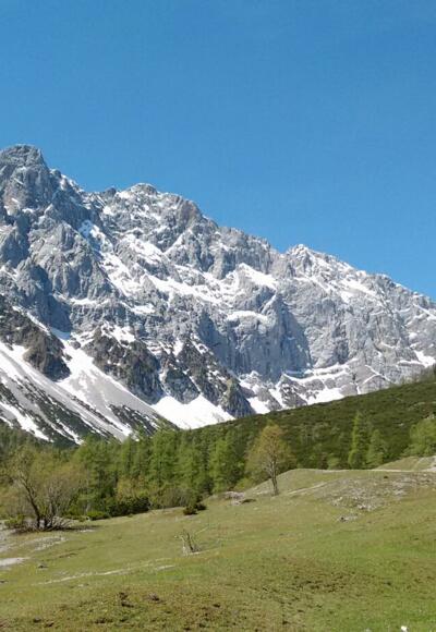 Blick von der Stallenalm Richtung Lamsenjoch