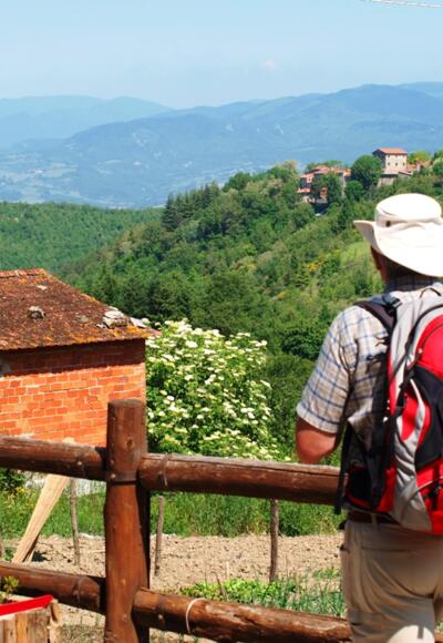 Pilgern - durch abgelegene Landschaften