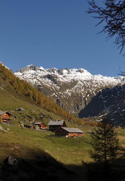 Steineralm, Blick zur Oberen Steineralm mit Sudetendeutscher Hütte
