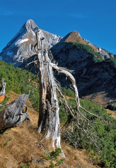 Wer setzt sich schon ins Kino, wenn in freier Natur der Kolm mit 360° wartet