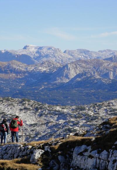 Ausblick vom Schönberg nach Osten über das Plateau