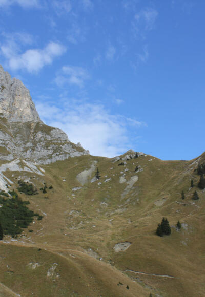 Blick Richtung Sabachjoch
