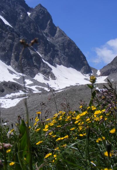 Blick auf das Kuchenjoch, rechts davon geht´s zum Scheibler hinauf