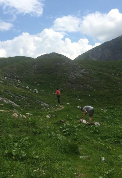 Am Zentralalpenweg (702)