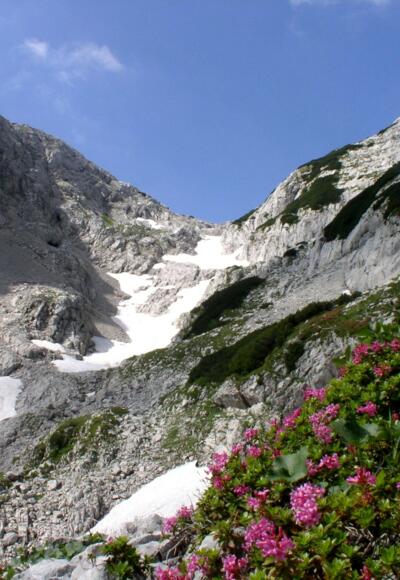 Rückblick ins Sigistal