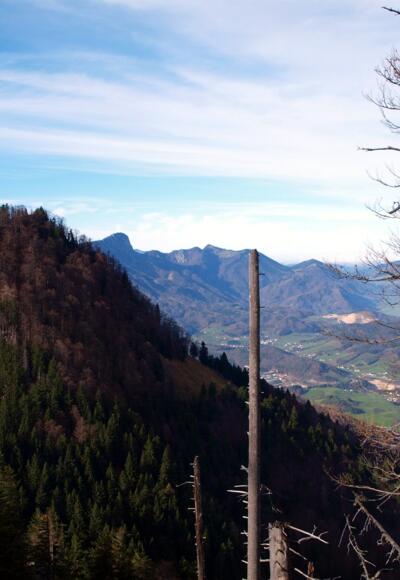 Großer Spitzberg 1396m vom Kleinen gesehen