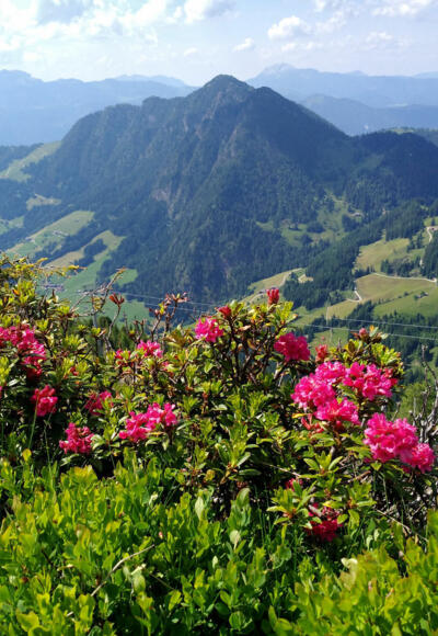 Blick vom Schatzberg zum Gratlspitz