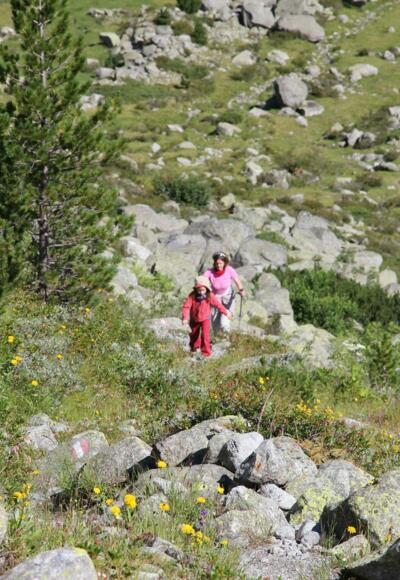 Weg durch Latschenkiefer aufwärts