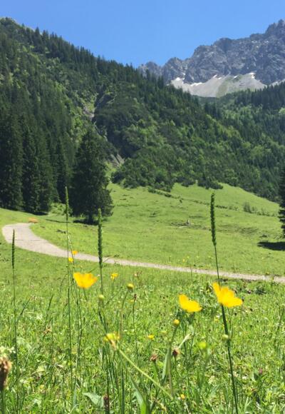 Gemsteltal im Sommer