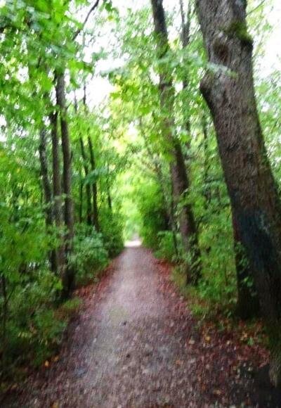 wir folgen der Traun