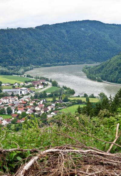 Blick auf Burg Krämpelstein