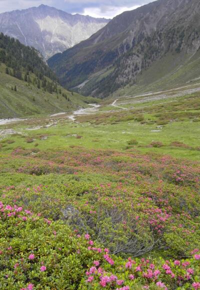 Pforzheimer Hütte (Adolf-Witzenmann-Haus)