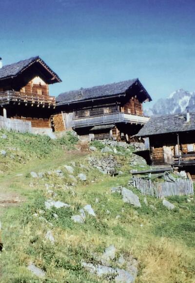 Auf dem Lasörling Höhenweg (Arnitzalm)