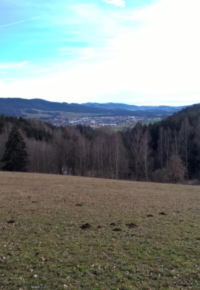Blick nach Freistadt, mit St. Peter (rechts)