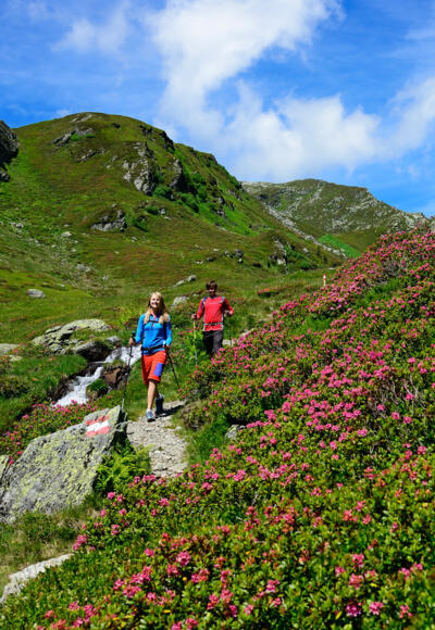 Abstieg vom mittleren Wildalmsee