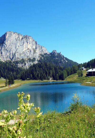 See (1365m) beim Linzerhaus