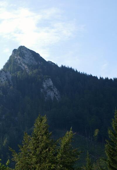 Schöner Blick zum Gipfel bei 890m