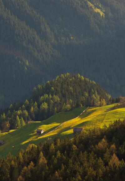 Blick zur Steinerkogl Alm