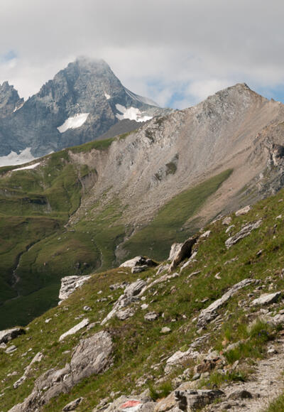 Von der Glorer Hütte zum Peischlachtörl: Blick zurück auf den Großglockner