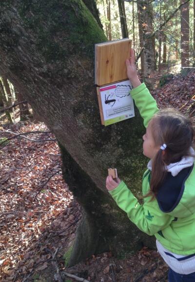 Der interessante Themenweg ist auch für Kinder gut geeignet
