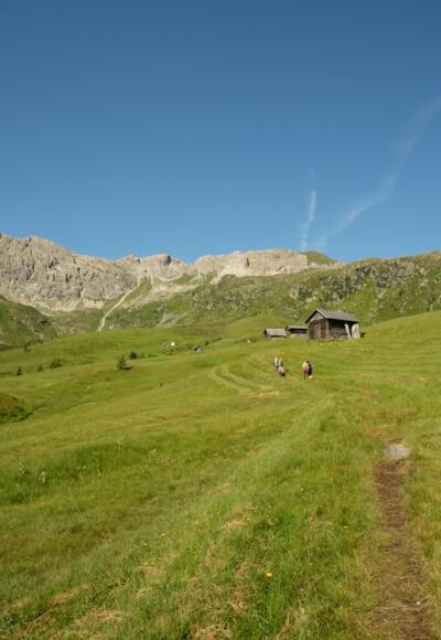 Gemähte Bergwiesen "in den Stucken"