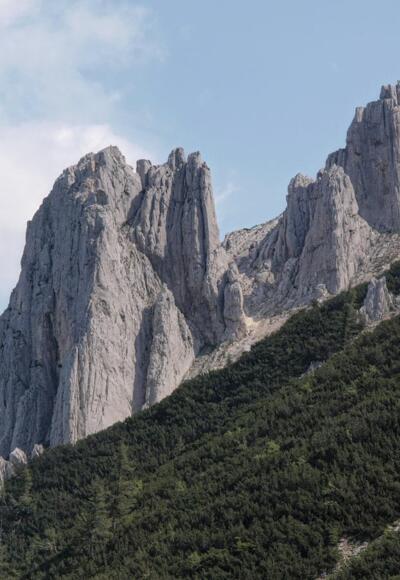 Seehagelmauern im Zoom