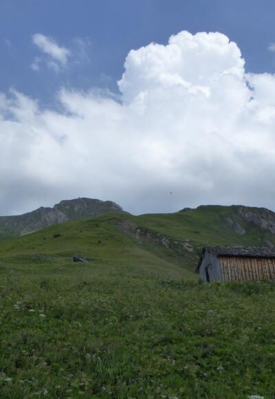 Kurz vor dem Ziel, im Hintergrund die Guflespitze