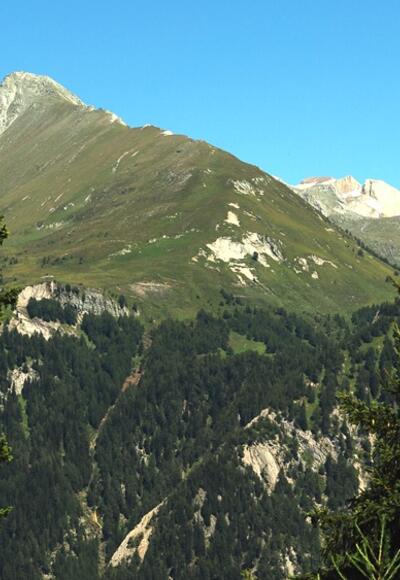 Der Nussing, im Hintergrund ein Teil der Wellachköpf