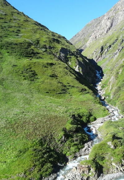 Einblick ins Dabertal