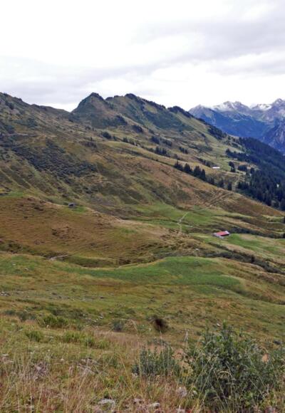 Blick zu den Ochsenhofer Köpfen