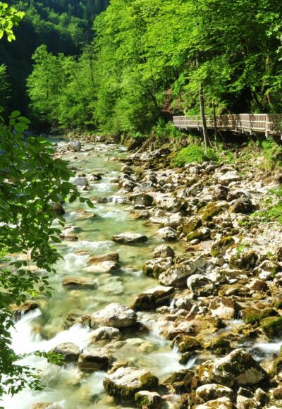 Buchensteig am Reichramingbach im Bereich des Wasserboden