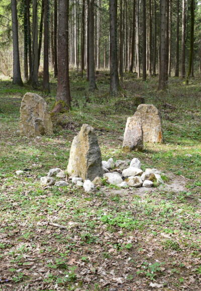 Münster Wald mit Steinkreis