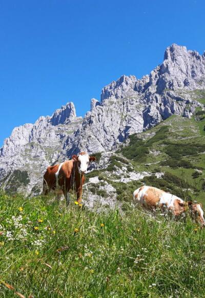 Going_Kleines Törl_Wilder Kaiser