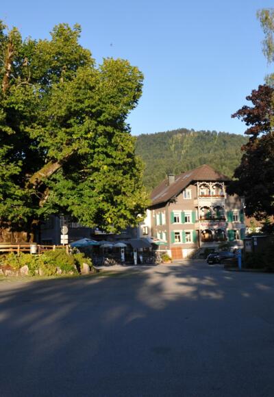 Brüggelekopf Hausberg von Alberschwende
