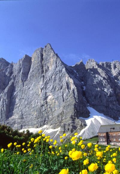 Die Falkenhütte vor der Herzogkante und den Lalidererwänden