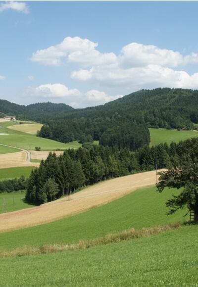 Wellige Landschaften erradeln