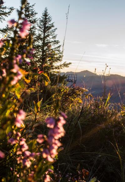 Sonnenaufgang Walmendingerhorn
