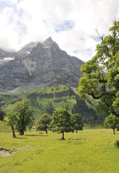 Am Themenweg zur Eng-Alm erfährt man einiges über die Geschichte des Großen Ahornbodens, der Landwirtschaft und über den Naturpark Karwendel allgemein.
